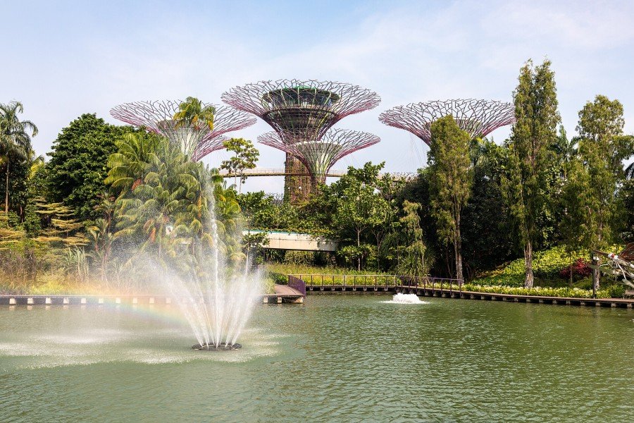 Supertree Grove, Gardens by the Bay, Singapore