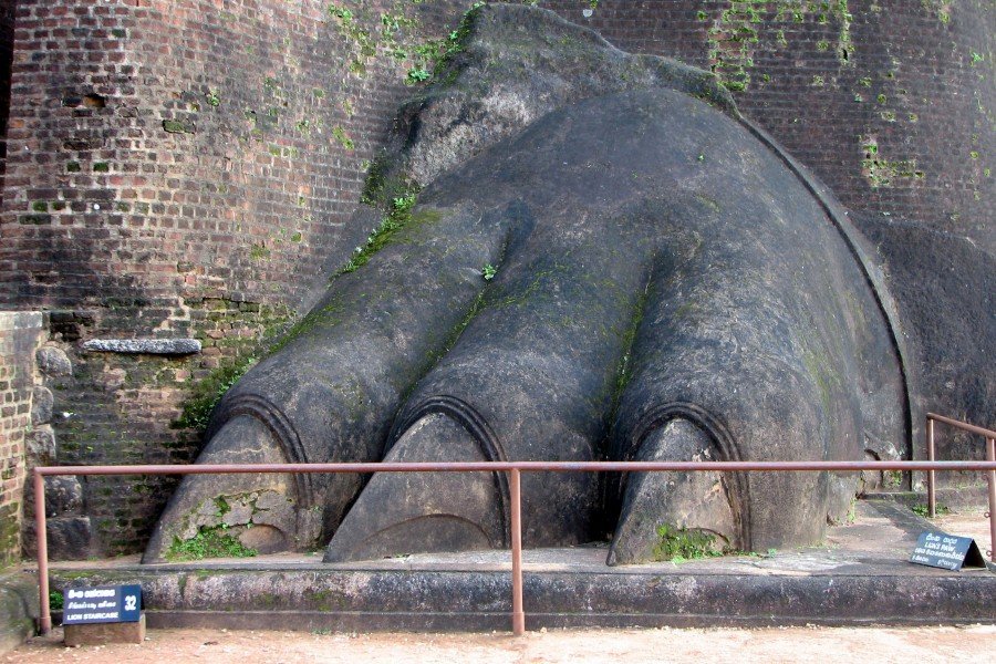 Lion paw on the Sigiriya rock, Sri Lanka